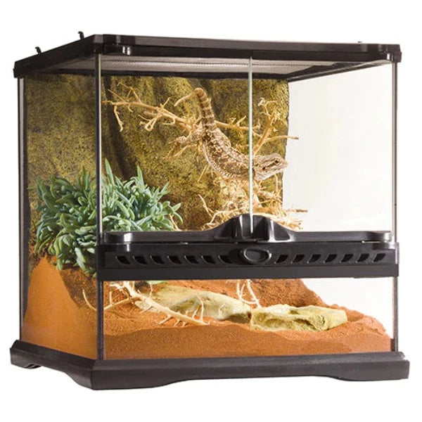 Exo Terra Terrarium