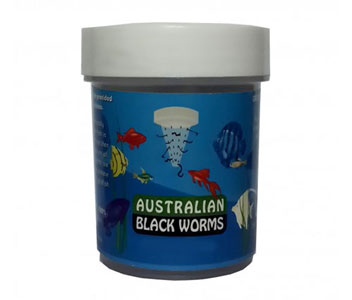 Australian Dried Black Worms (loose)