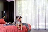 FuzzYard Life Pet Blanket - Slate Grey