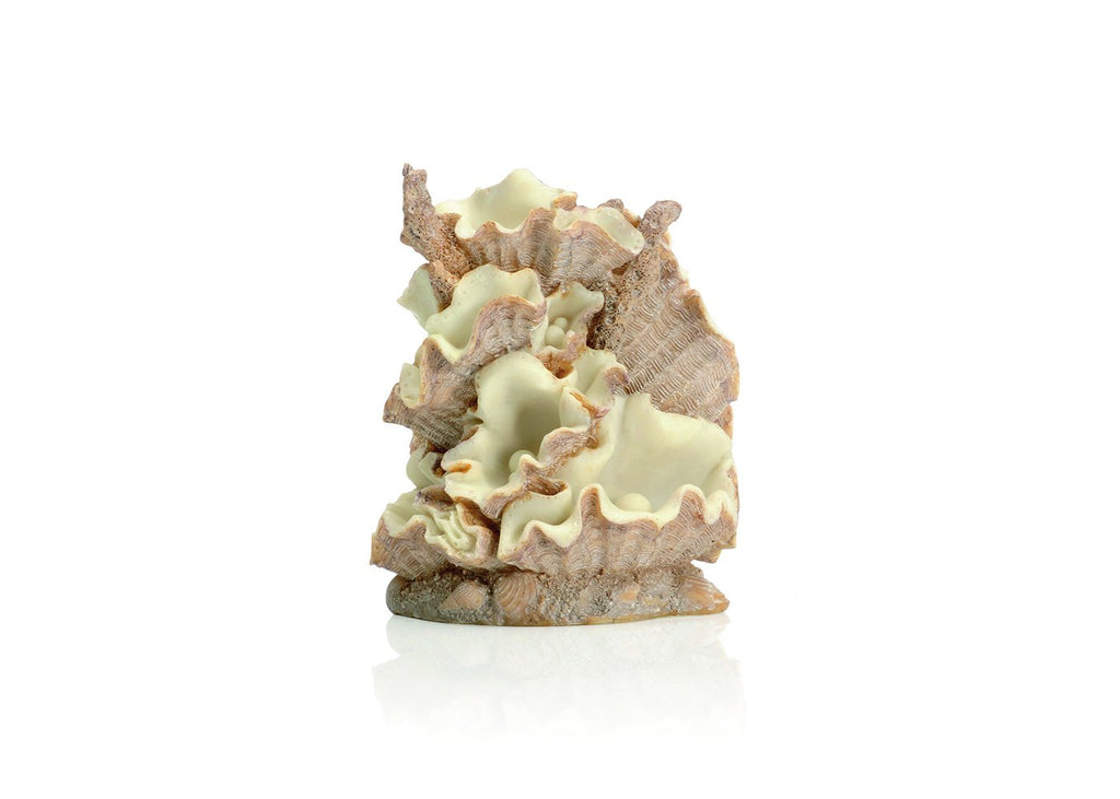 biOrb Clamshell Ornament by Samuel Baker, a pale pink resin clam shell aquarium sculpture with opalescent accents