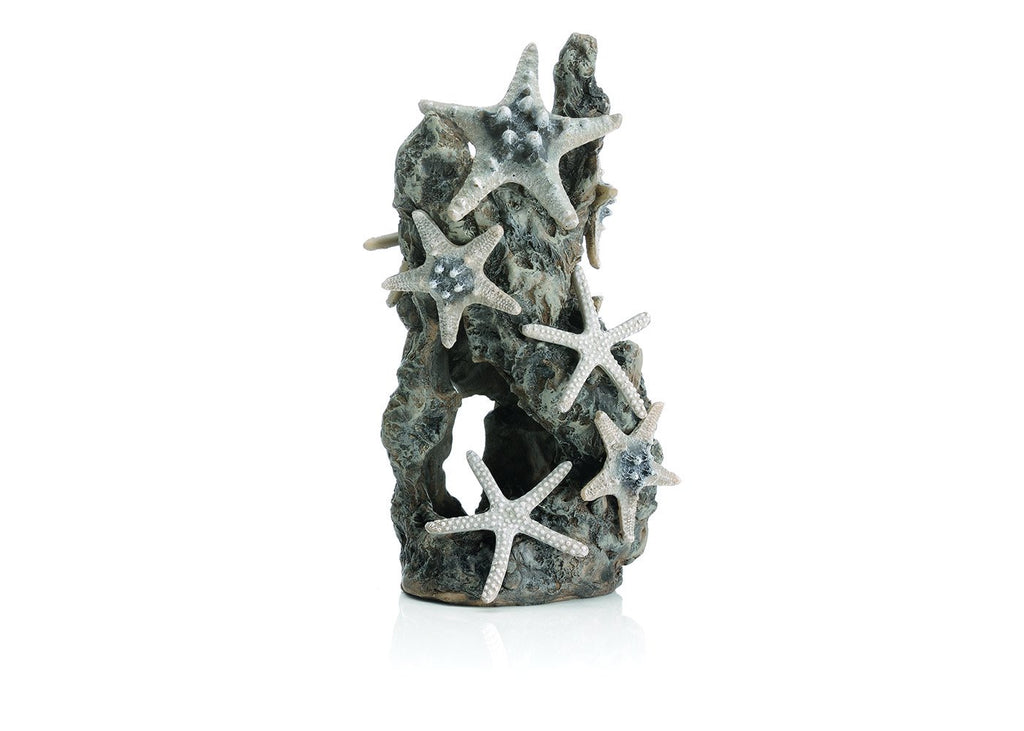 biOrb Sea Star Rock Ornament by Samuel Baker, a grey resin rock aquarium sculpture with pale sea stars