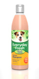 Everyday Fresh Clean Scent Shampoo