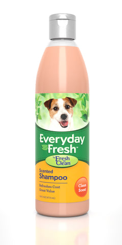 Everyday Fresh Clean Scent Shampoo