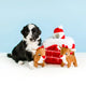 Zippy Burrow - Holiday Chimney