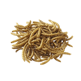 PETERS DRIED MEALWORMS FOR POULTRY & BIRDS 100G