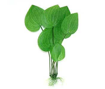 Aqua Dekore Radicans Swordplant Silk Plant