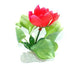 AquarWorld Pink Lily