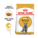 Royal Canin Cat British Shorthair
