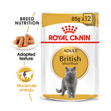 Royal Canin Cat British Shorthair Pouch 85g