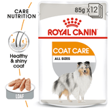 Royal Canin CCN Coat Care Loaf 85g