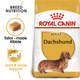 Royal Canin Dog Adult Dachshund