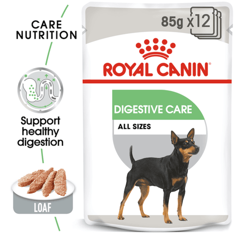 Royal Canin CCN Digestive Care Loaf 85g