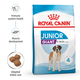 Royal Canin Dog Giant Junior 15kg