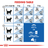 Royal Canin Cat Indoor