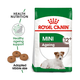 Royal Canin Dog Mini Ageing 12+ 1.5kg