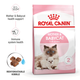 Royal Canin FHN Mother & Babycat