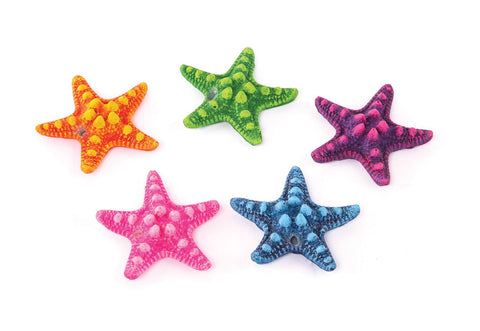 Kazoo Starfish 5 Pieces Assorted