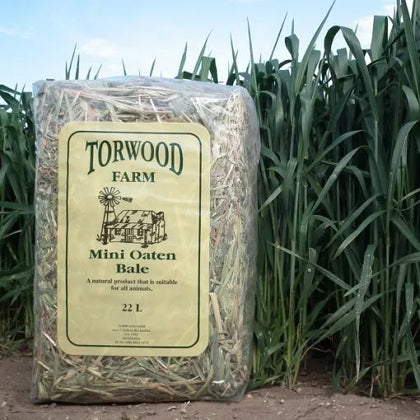 Torwood Farm Mini Oaten Hay Bale