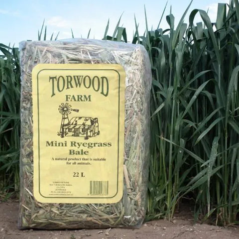 Torwood Farm Mini Ryegrass Hay Bale