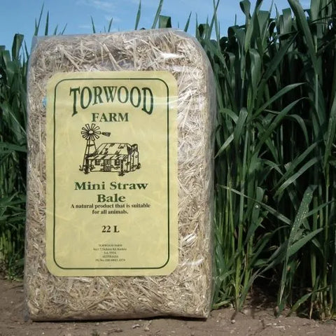 Torwood Farm Mini Barley Straw Bale