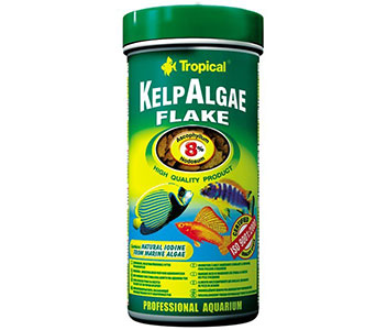 Tropical Kelp Algae Flake